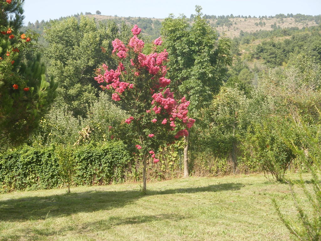Corneilla-de-Conflent Petite Maison De Village חדר תמונה