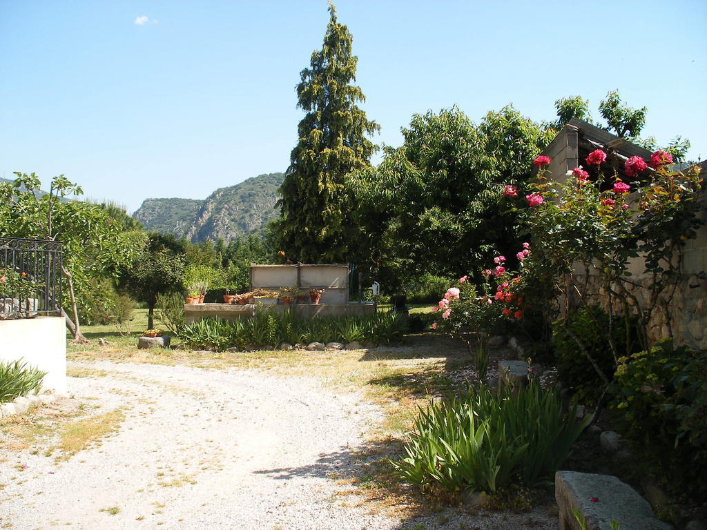 Corneilla-de-Conflent Petite Maison De Village חדר תמונה