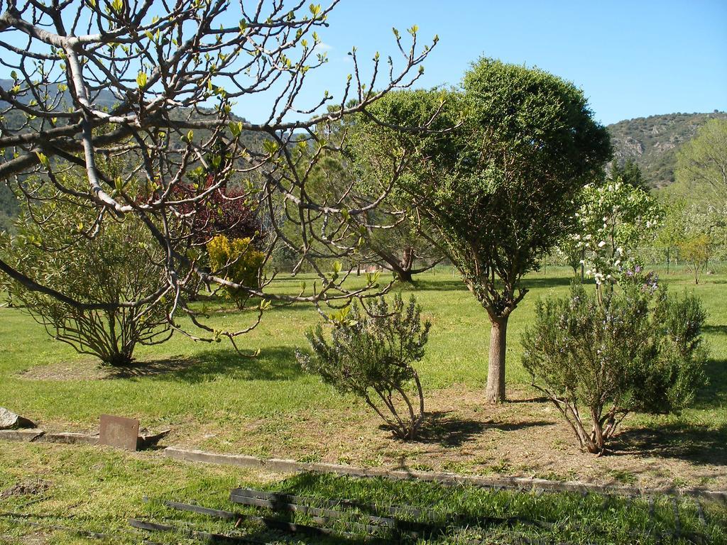 Corneilla-de-Conflent Petite Maison De Village מראה חיצוני תמונה