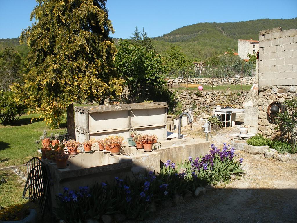 Corneilla-de-Conflent Petite Maison De Village מראה חיצוני תמונה